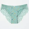 Autumn Bee Cheeky Knickers*FatFace Online