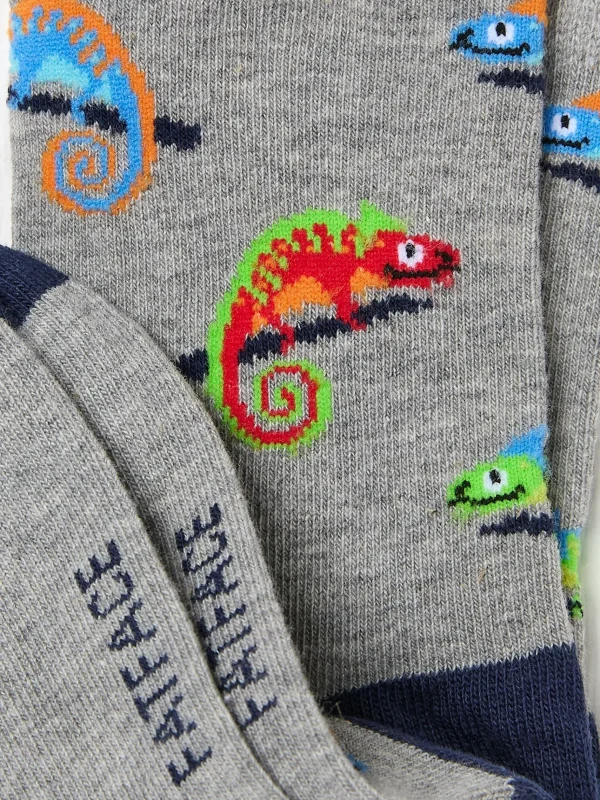 Chameleon Socks 1 Pack*FatFace Best