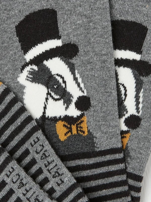 Mens Sir Badger Socks 1 Pack*FatFace Store